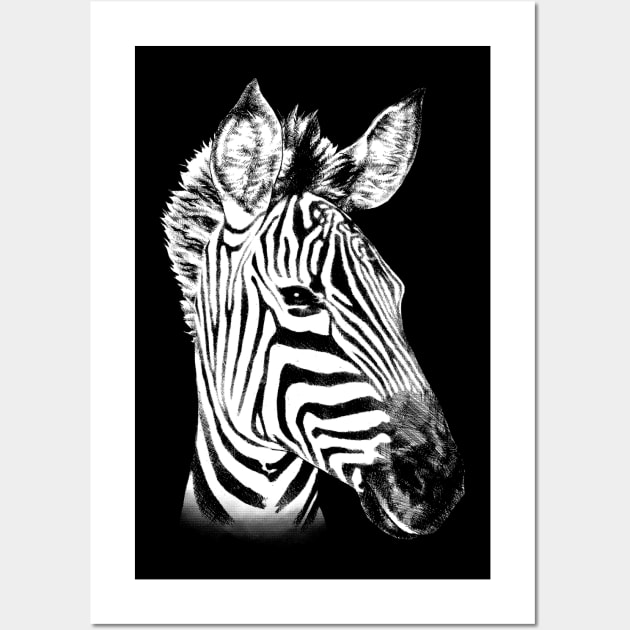 Zebra Animal Portrait Wall Art by MMMSDesigns